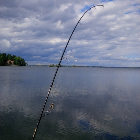 Meet your Posher, Matthew - Picture 1 of 1